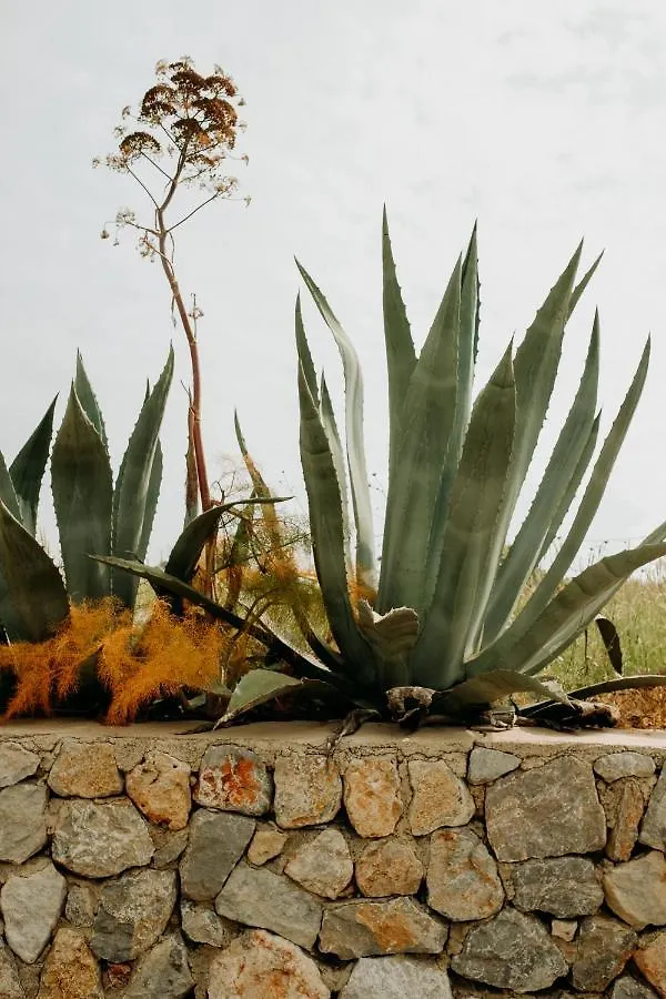 Eco Farm Boutique Hotel Turgutreis Farm stay