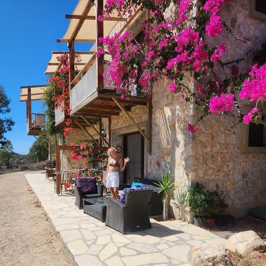 Farm stay Eco Farm Boutique Hotel Turgutreis