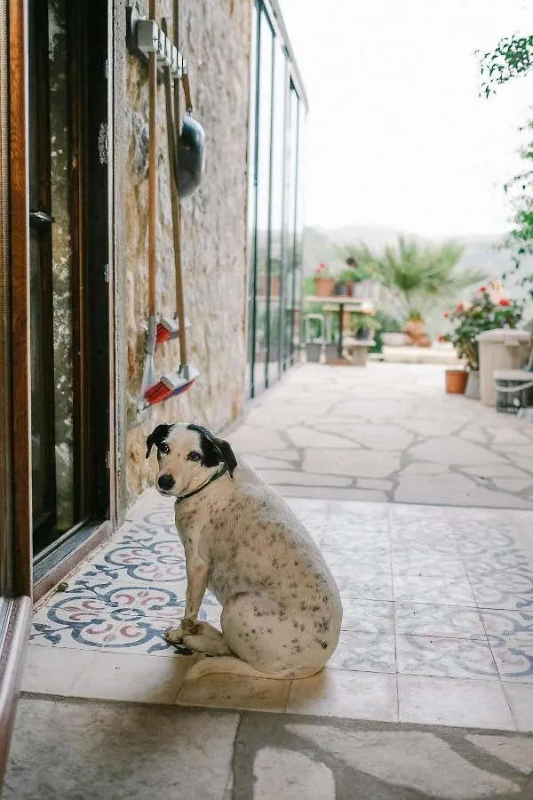 Eco Farm Boutique Hotel Turgutreis Türkei